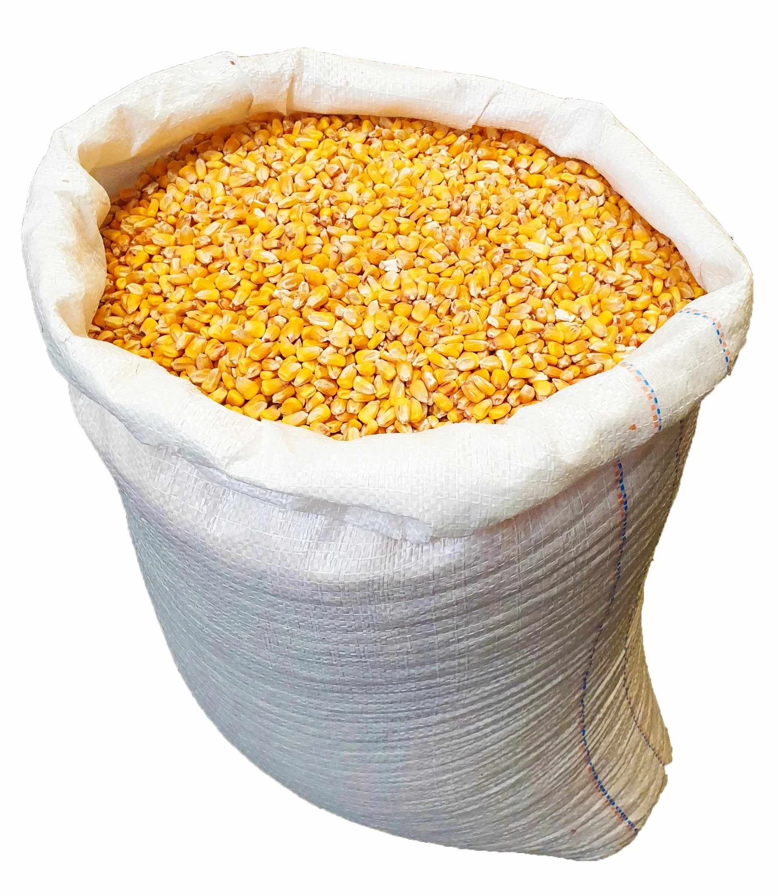 Saco de maíz Entero