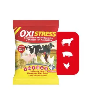 OXISTRESS polvo soluble de 100 gr 2