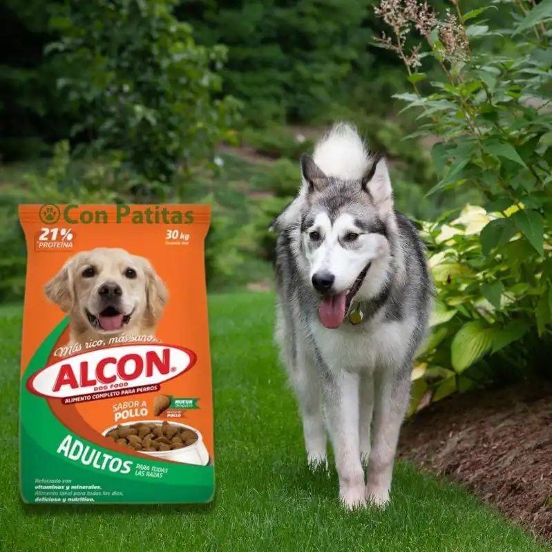 Alcon Adulto 2 kg