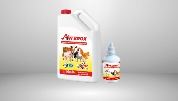 AVIBROX solución oral de 100 ml