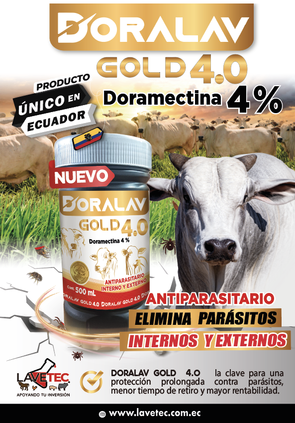 DORALAV GOLD 4.0 frasco de 500 ml