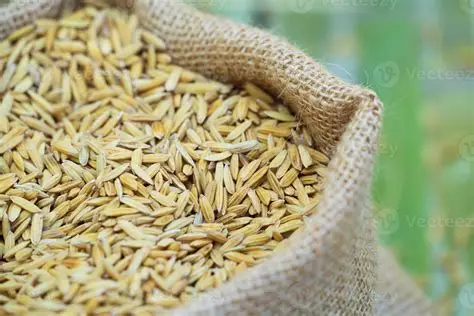 Saco de cascara de arroz o tamo