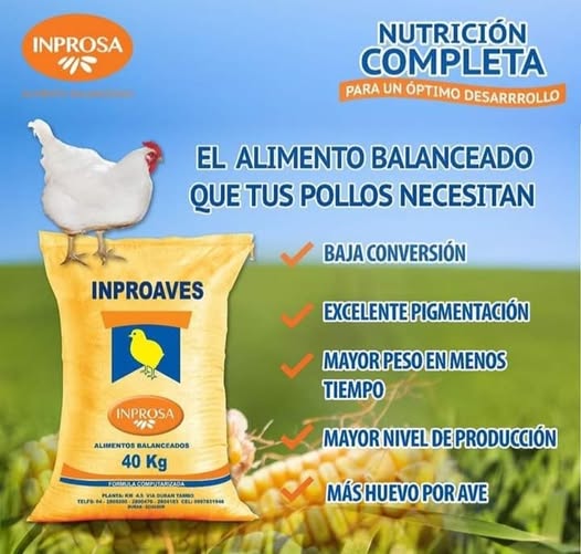 ALLMECTIN ivermectina 1% frasco de 500 ml 2
