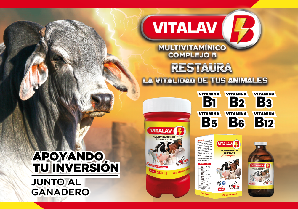 VITALAV B multivitamínico frasco de 50 ml