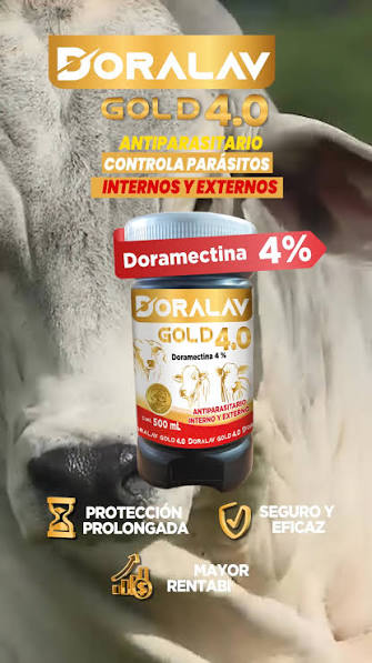DORALAV GOLD 4.0 frasco de 250 ml