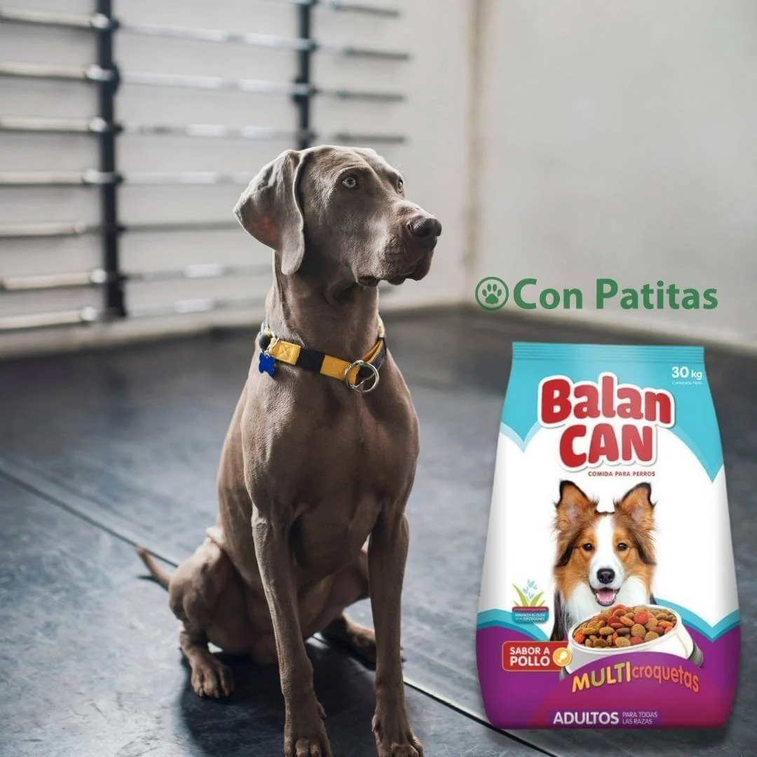 Balan Can Adultos Todas las Razas 30 kg