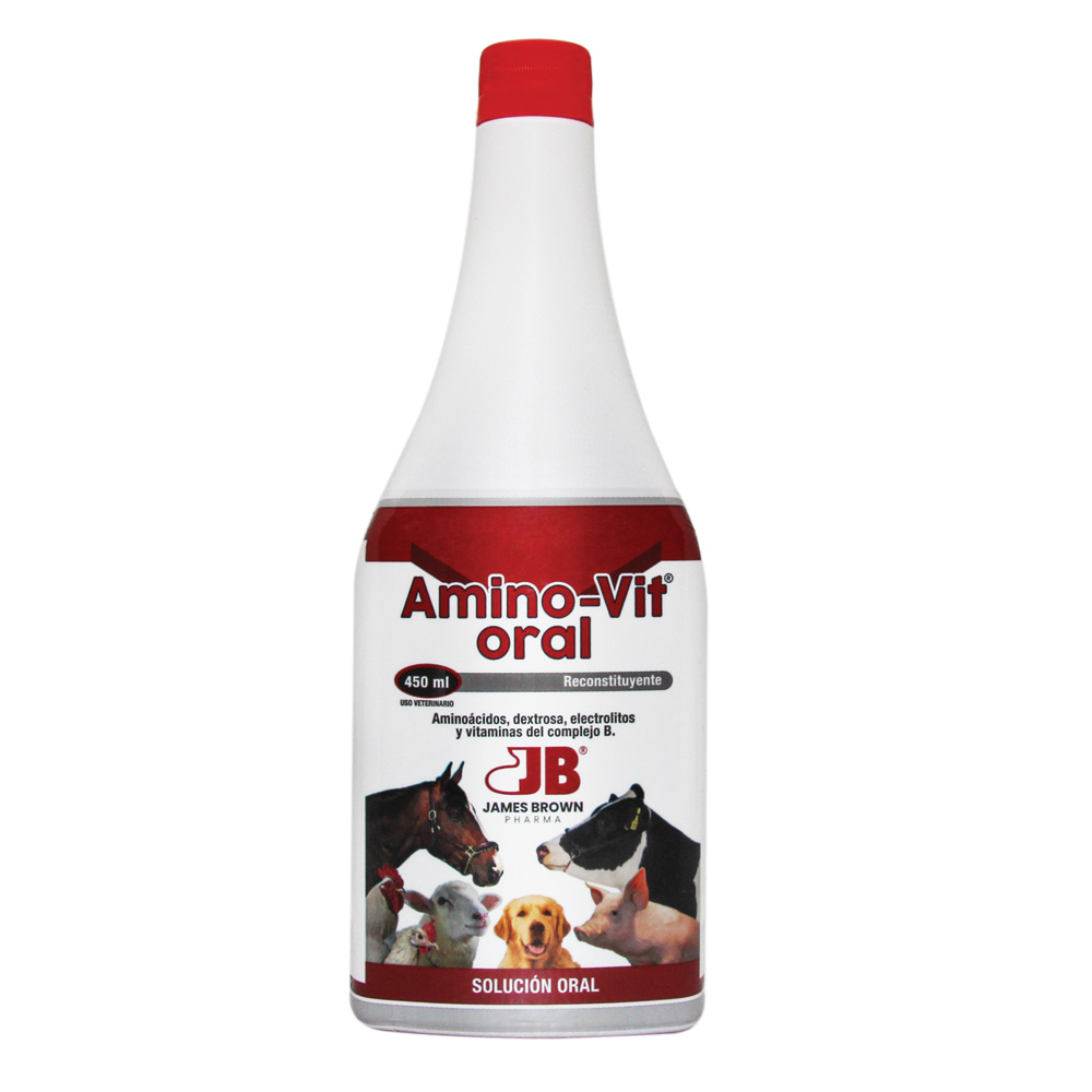 AMINO-VIT ORAL frasco de 450 ml