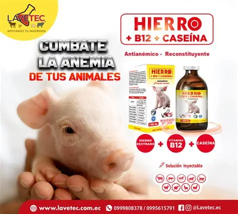 Hierro + B12 + Caseína 100 ml