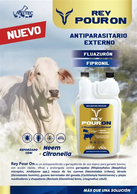 REY POUR ON 100 ml solución tópica
