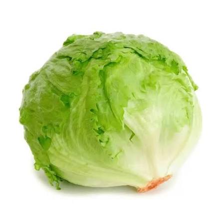 Lechuga