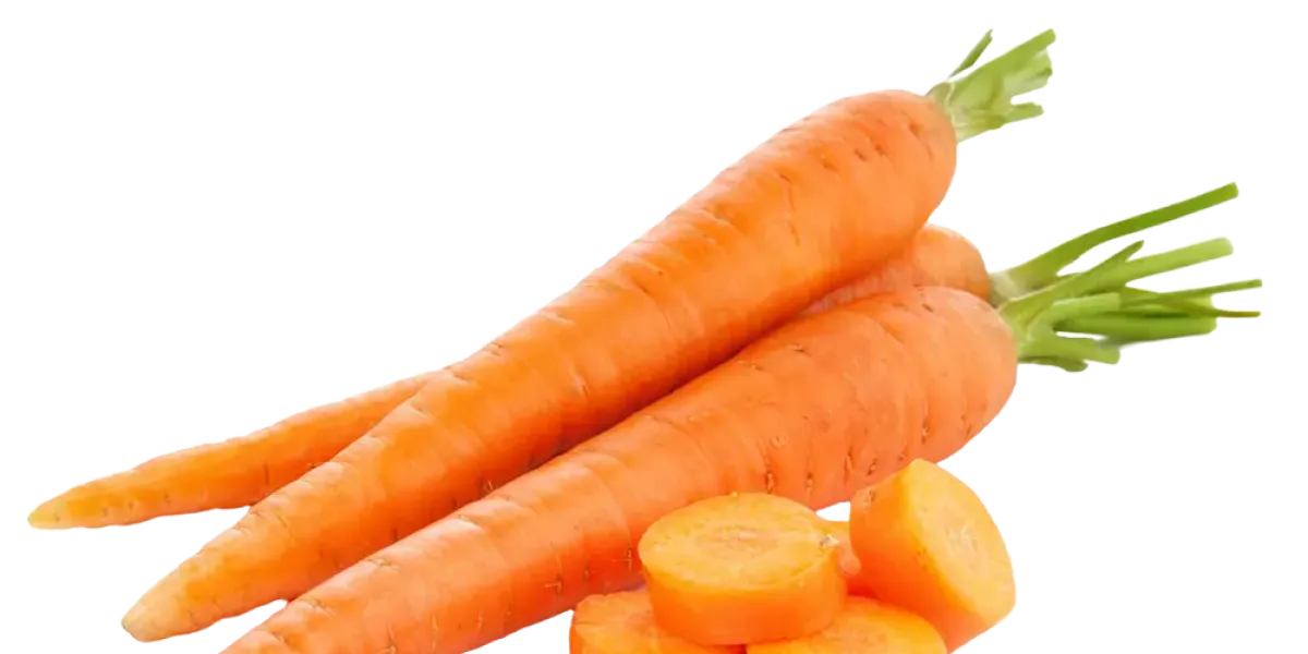 Zanahoria