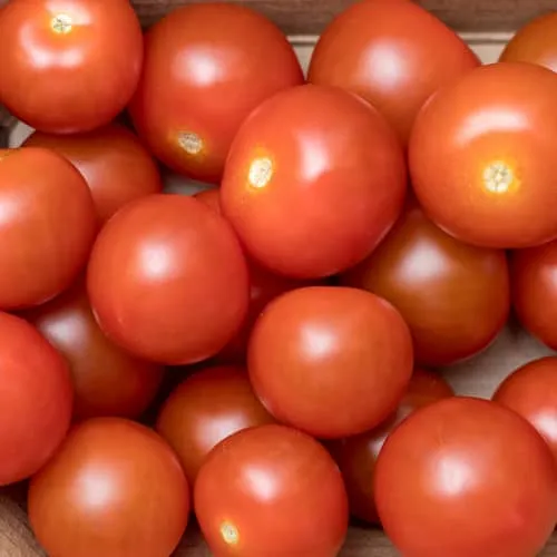Tomate riñón
