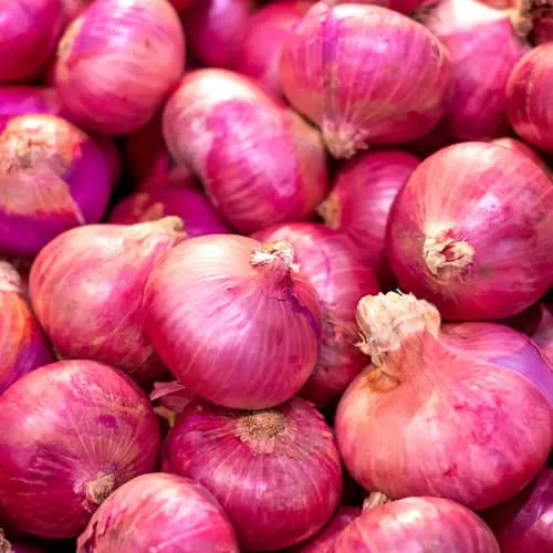 Cebolla paiteña