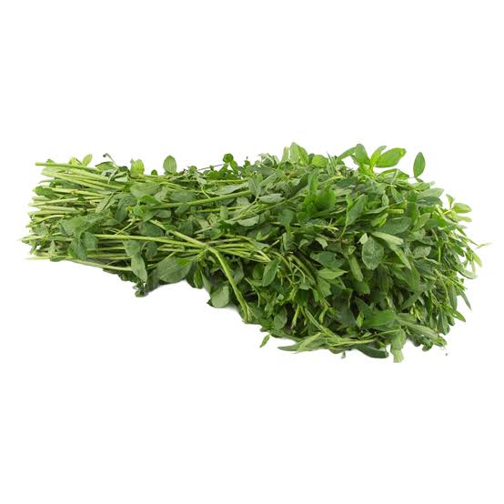 Alfalfa