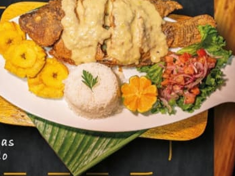 Tilapia al Ajillo